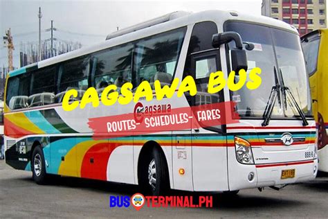 cagsawa bus